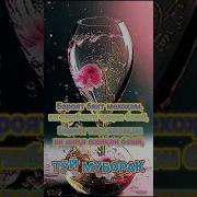 Табрикот Дар Рузи Туй