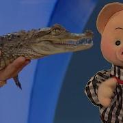 С Добрым Утром Малыши