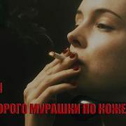 Тайный Звонок