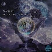Life Goes On Brickman