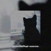 Зимний Ветер