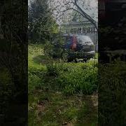 Запах Травы Шелест Берез