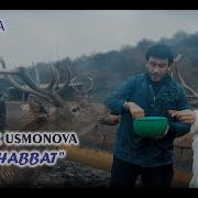 Yulduz Usmonova Muhabbat