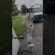Девятый Конвой