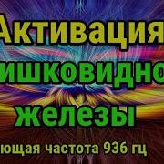 Тон 936 Гц