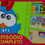 Gallina Pintadita 20