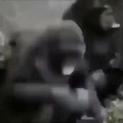 Меня Манил Его Пенис