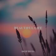 James Vision Beautiful Life Deeper