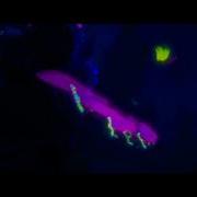 Песня Короля Ти Роллекса