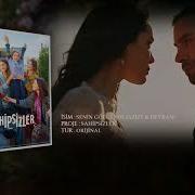 Sahibsizler Muzikleri