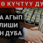 Байлык Алып Келуучу Дуба
