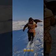 Түлкі Қалай Дыбыстайды