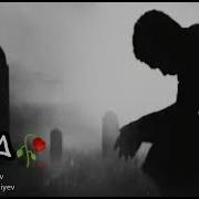 Anaya Aid Qamli Seir