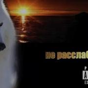 Скриптонит 2023