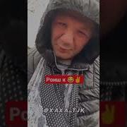 Ту Петух Бромади