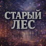 Старый Лес Remix Cover Лм