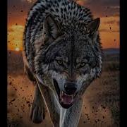 Броня Внутри Меня