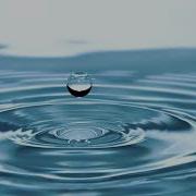 Voice Tag Heronwater