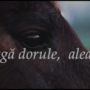 Alearga Dorule Alearga