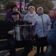 Видео Клипы Под Гармонь