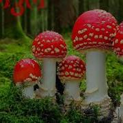 Ани Бани Гани