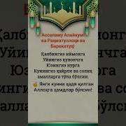 Янги Кун Муборак