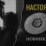 Bear Sound Настоящие