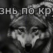 Гарик Жизнь По Кругу