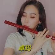 卓玛Cover Bamboo Flute