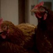 Реклама Бургер Кинг