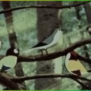 Птичник Сен Санс