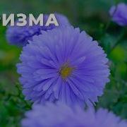 Харизма Zen Саблиминал