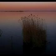 Дольский 1971