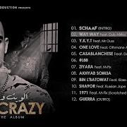 Mr Crazy Dub Africa