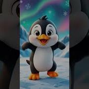 Пингвины Поет Ярановы