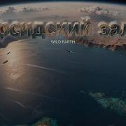 Документальный Фильм