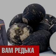 Чорна Редька