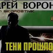 Аудиокниги Андрей Воронин