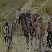 Ложи Верблюда