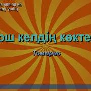 Кош Келдин Коктем Томирис