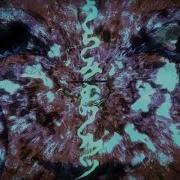 うらみのワルツ きくお Feat 初音ミク