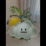 Сэйдэш И Рашида