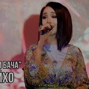 Зулайхо Бача Бача