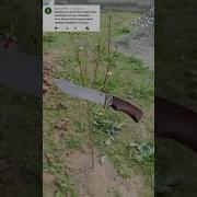 Китоби Хобнома