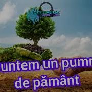 Deyu Music