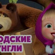 Masha The Bear