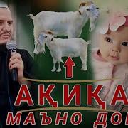 Домулло Акбарчон Акика