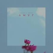 Вован Амур