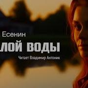 Аудиокниги Есенин