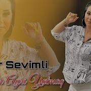 Aynur Gecler Ayri